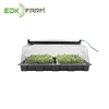 /product-detail/equipment-nursery-fish-nursery-hydroponics-kits-sprout-greenhouse-germination-starter-seed-tray-with-dome-62092915398.html