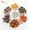 2019 Hot sale Loose Beads Set ,Colorful Shell Beaded DIY Set With Flower Box,Replaceable Beads Set