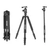 Zomei Z818C Digital Camera Carbon Fiber Professional Tripod