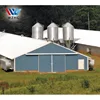 poultry farm business plan in marathi language poultry farming houses for chicks