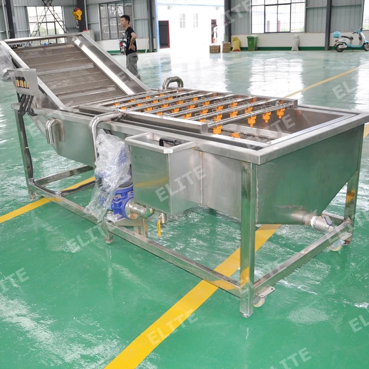 
Chinese chestnut fruit washing machine industrial fruit drying machine industrial washer dates 
