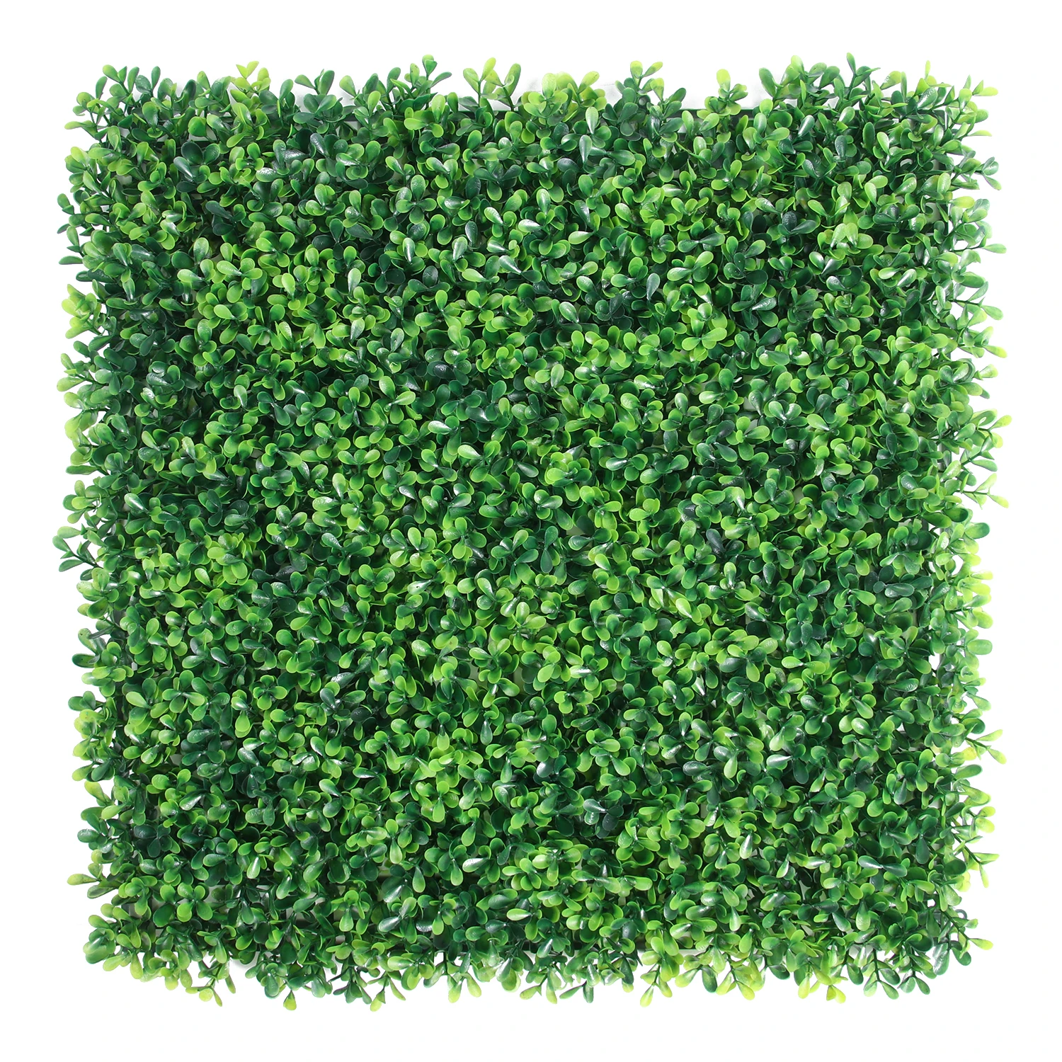 

Handmade Outdoor UV Resisted PE Faux Hedge Rolls Wall Artificial Boxwood Green panels for Vertical Garden