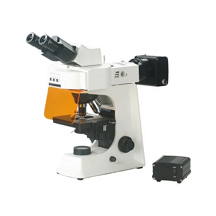 
fluorescent binocular microscope 