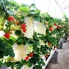 Cultivation Vertical Hydroponic Growing System Tower for Vegetables Strawberry