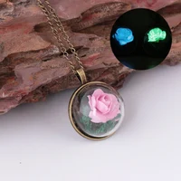 

Fashion Jewelry Long Chain Dark Luminous Glowing Dried Flower Pendant Necklace