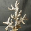 Natural red coral resin handicraft hotel living room home decoration articles