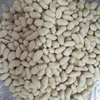 quality Chinese blanched peanut kernels for wholesale