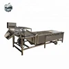 Cherry tomatoes washer beans washing water spinach bubble washer machine