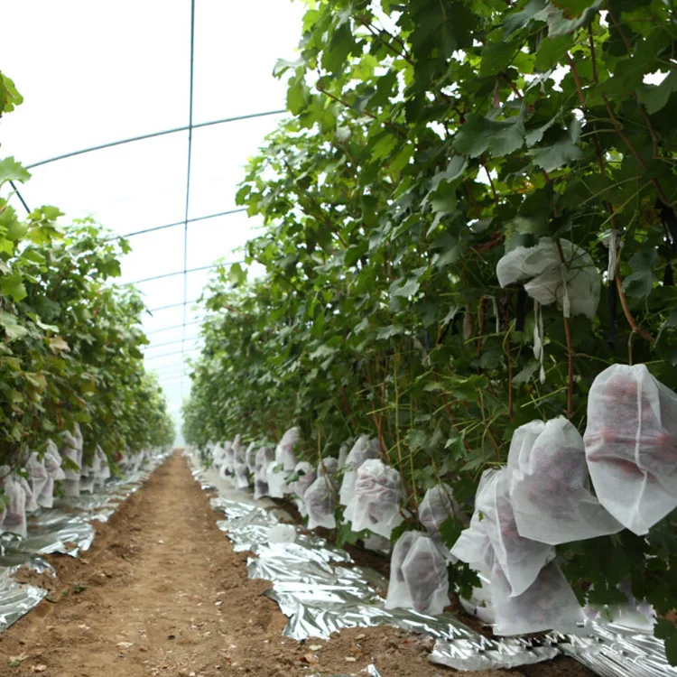 

Hot Selling And Best Price Nonwoven Fruit Cover Grow Plant Bag