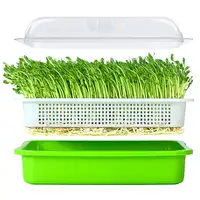 

Seed Sprouter Tray BPA Free PP Soil-Free Big Capacity Healthy Wheatgrass Grower with Lid Sprouting Kit