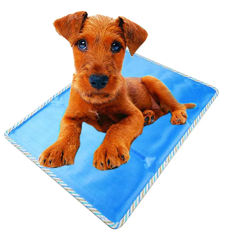 

Best summer self cooling mat for dogs rabbits pet and pillow