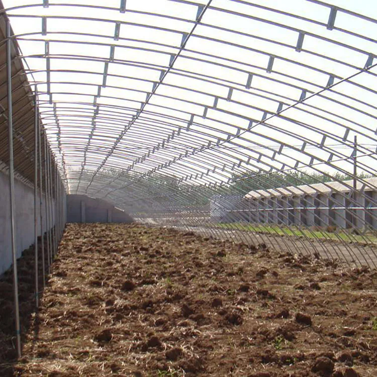 
Solar Greenhouse Covered By 150/180/200 micron polythene film 