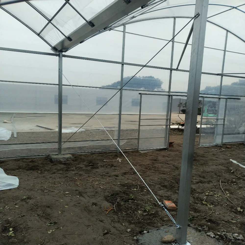 
large size multi-span arch plastic film Greenhouse tomato greenhouse and strawberry greenhouse turnkey project 
