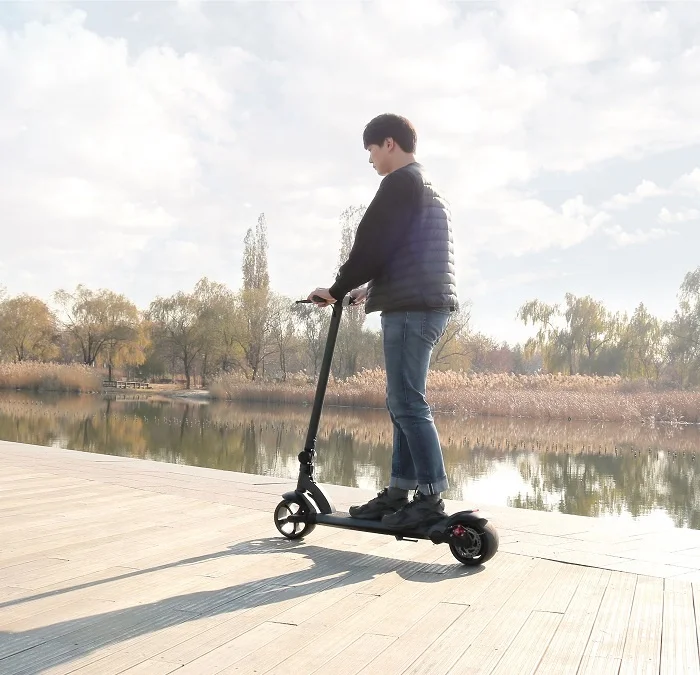 

1000w Light weight Folding Powerful Adult 2 wheels Electric Scooter