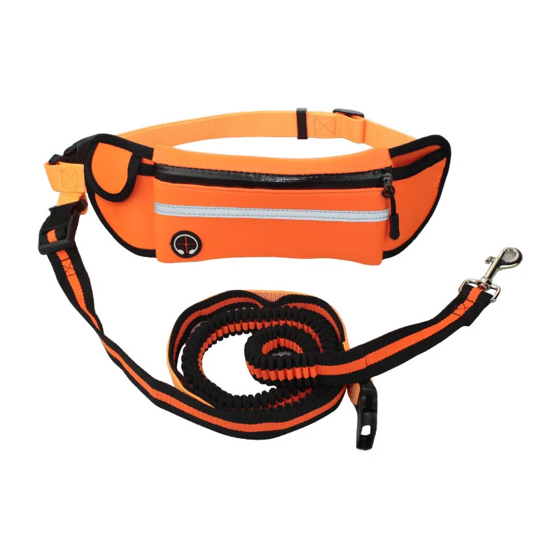 

Amazon Handsfree Reflective Running Dog Bungee Leash Hands Free Dog Leash