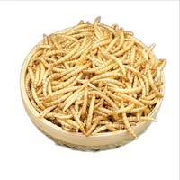

High Protein Dried Mealworms for carp fish Food