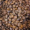 OEM, ODM light, middle, deep roasted coffee arabica coffee beans with factory price