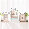 Creative 6 "iron art photo frame set ins conjoined two-sided photo frame living room hydroponic picture photo frame
