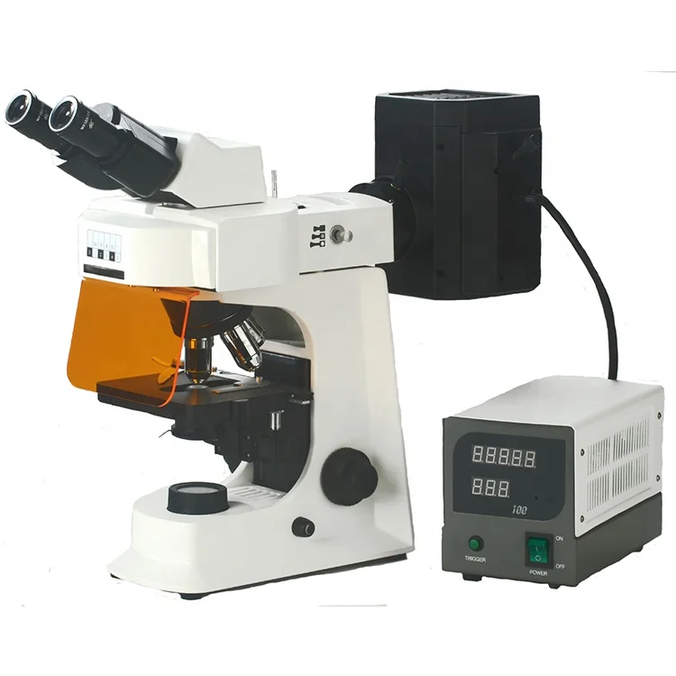 
fluorescent binocular microscope 