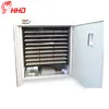 Professional production chain automatic eggs hatching machine equipment model 2376