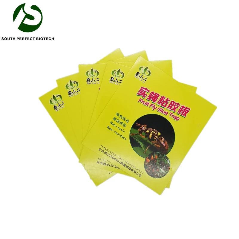 

Fruit fly Melon fly Pheromone Glue Trap Paper Insect Sticky Board Pheromones Cards