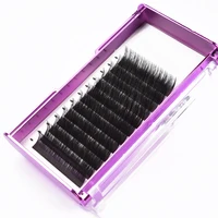 

Extensions Manufacturer Wholesale High Quality Private Label Silk Korean Eyelash Extensions J B C CC D DD Curl 8-20mm