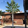 GST005 plastic ficus tree for outdoor decoration