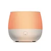 USB Portable Germany Stype Decorative Humidifier Mist Maker, Cold Air Car Aromatherapy Diffuser
