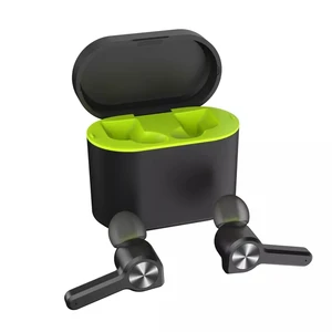 GW15 Wireless Earbuds