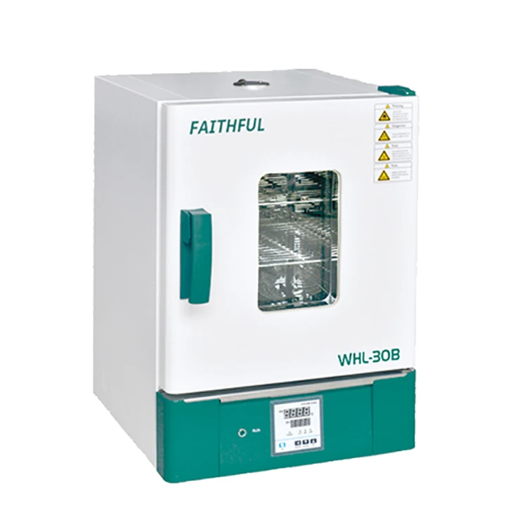 
WHL Manufacturer sales lab constant temperature drying oven for plant 