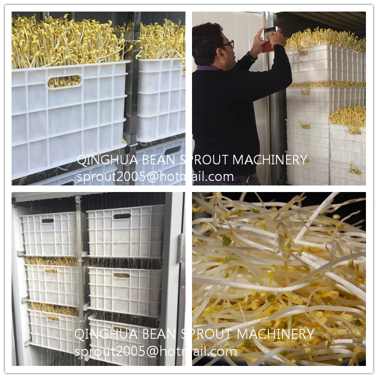 
Specialized Production Bean Sprout Machine 