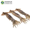 argentina squid whole round sea frozen new catching