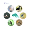 orchard/garden/fruit tree bird mist nets for catching birds anti bird net