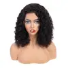 cuticle aligned afro kinky curly virgin human hair front transparent lace wig 613 blonde available for black with wig bags