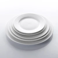 

Wedding Hall Porcelain Dishes For Restaurant, Dinnerware Luxury Porcelain~