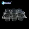Wholesale Disposable Clear PET Plastic Cupcake 6pcs Container