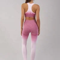 

Fashion Activewear Gradient Seamless Bra And Ombre Leggings Set Women Seamless Yoga Fitness Set