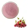 100% Natural cherry extract powder/cherry powder/cherry blossom extract powder