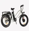 3 wheel ebike 48V 500W Fat Tire Cargo Electric Tricycle for farmer