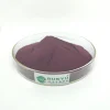 RUNYU 100% Natural Vitis vinifera Extract, Grape Seed Extract Proanthocyanidins 95%