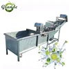 Food grade 304 Stainless Steel Spinach Bubble Washing Machine