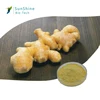 ginger extract