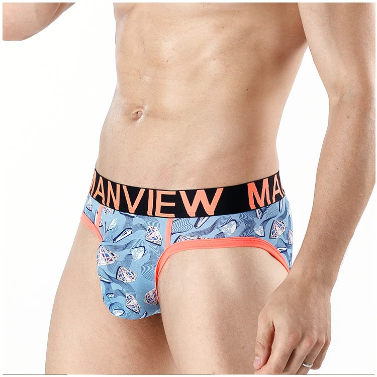 swim brief brands