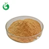 Best Price Pure Green Tea Extract EGCG
