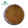 Factory supply top grade pueraria mirifica extract powder 40%~95% isoflavones