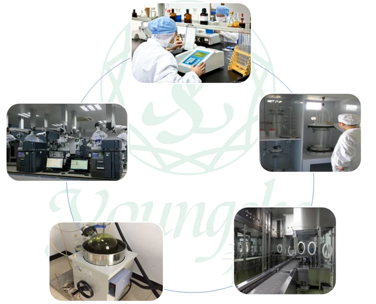 
Terlipressin, High purity peptide cas 14636-12-5 Terlipressin Acetate 