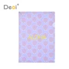 PET,PP,PVC Material and Box File Type File Document folder