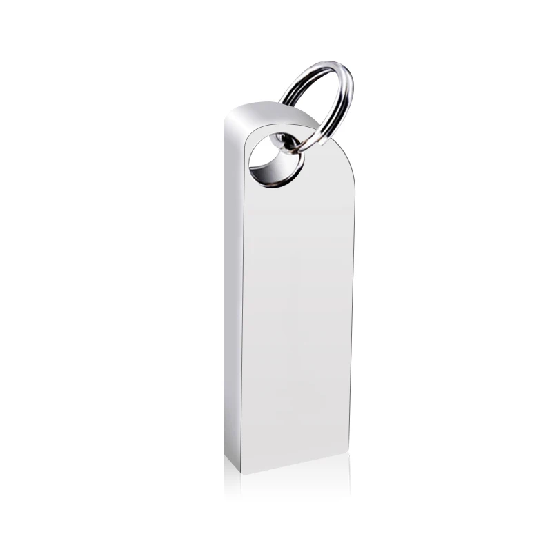

Bulk Cheap Metal USB Flash Drive 2GB 4GB USB Pen Drive With Key Ring