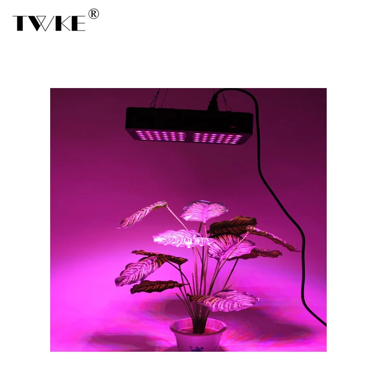 
High Power 600W Full Spectrum Led Grow Lights 
