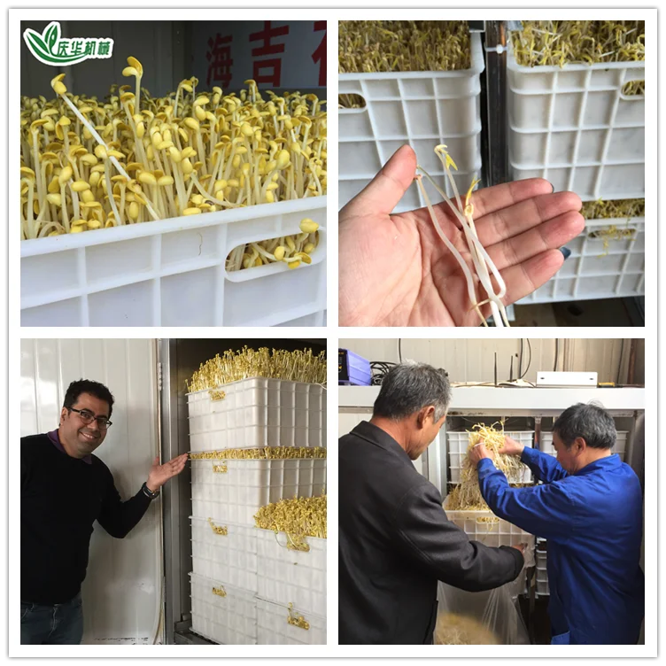
Specialized Production Bean Sprout Machine 